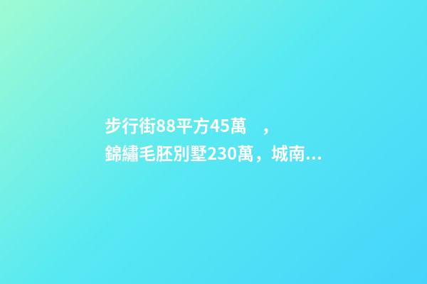 步行街88平方45萬，錦繡毛胚別墅230萬，城南自建房273平帶院165萬